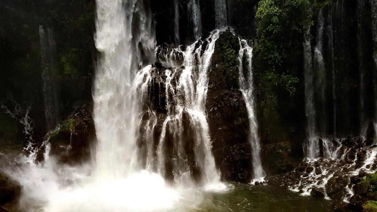 La Perle Marine Daire Saint-Leu Dış mekan fotoğraf