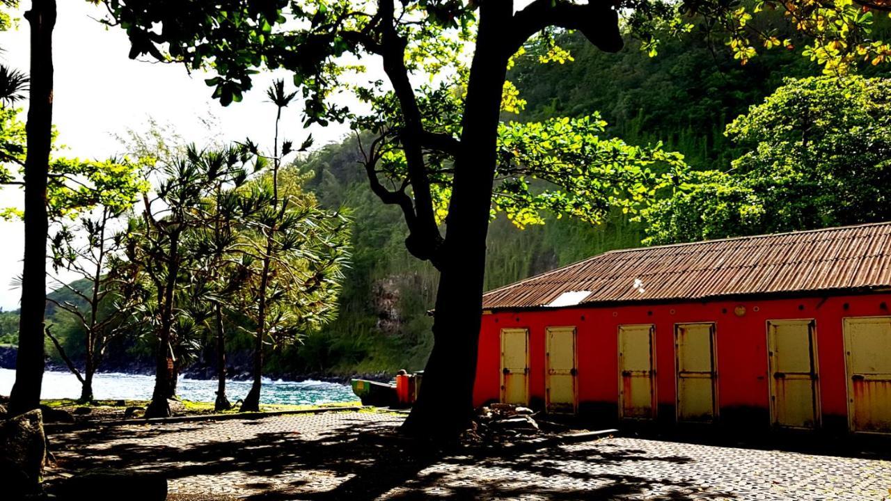 La Perle Marine Daire Saint-Leu Dış mekan fotoğraf