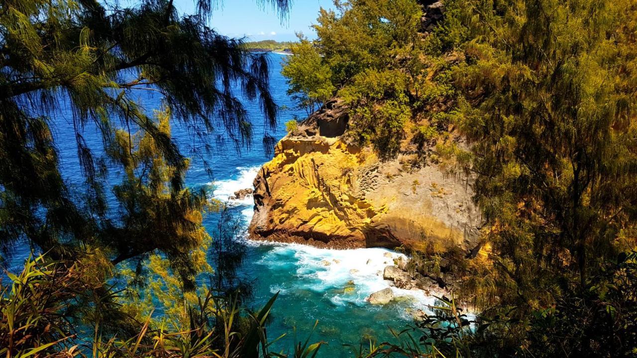 La Perle Marine Daire Saint-Leu Dış mekan fotoğraf